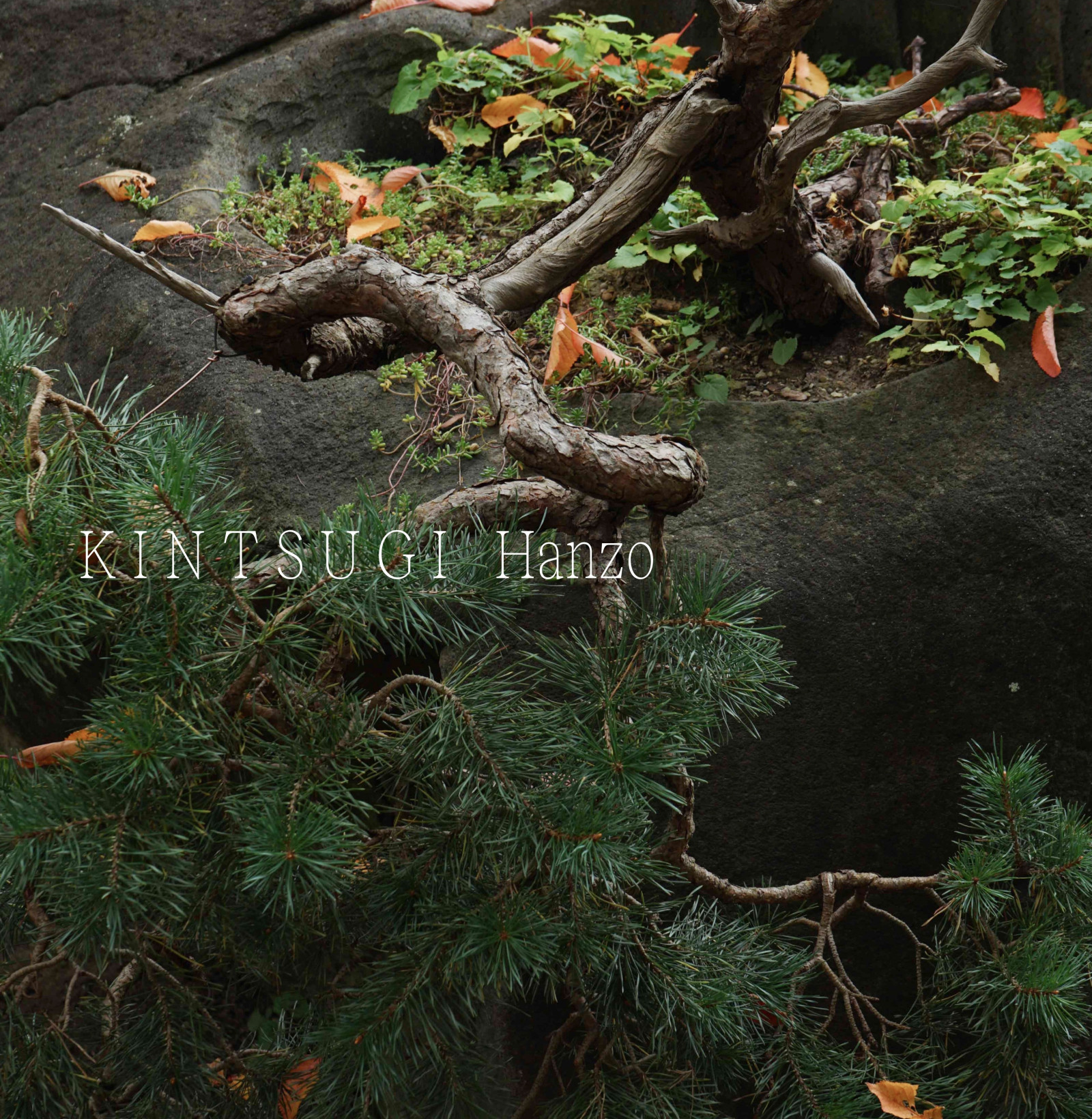 Kintsugi Hanzo Eau De Parfum