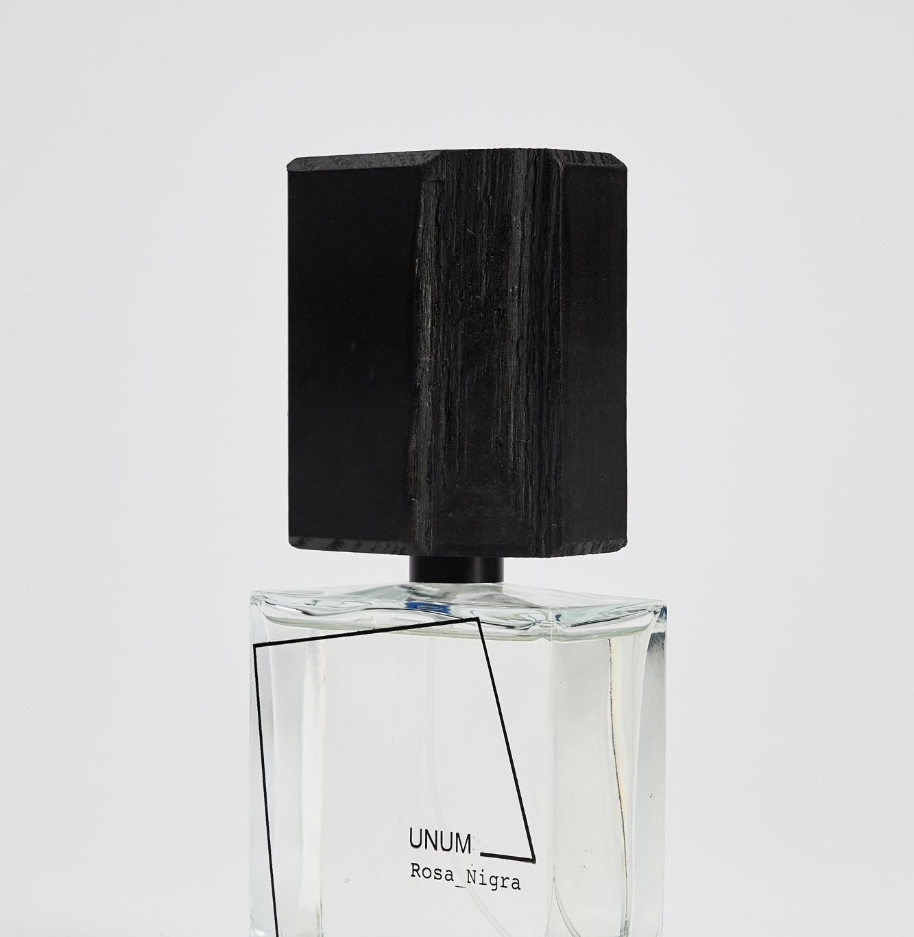 Rosa nigra by Filippo Sorcinelli