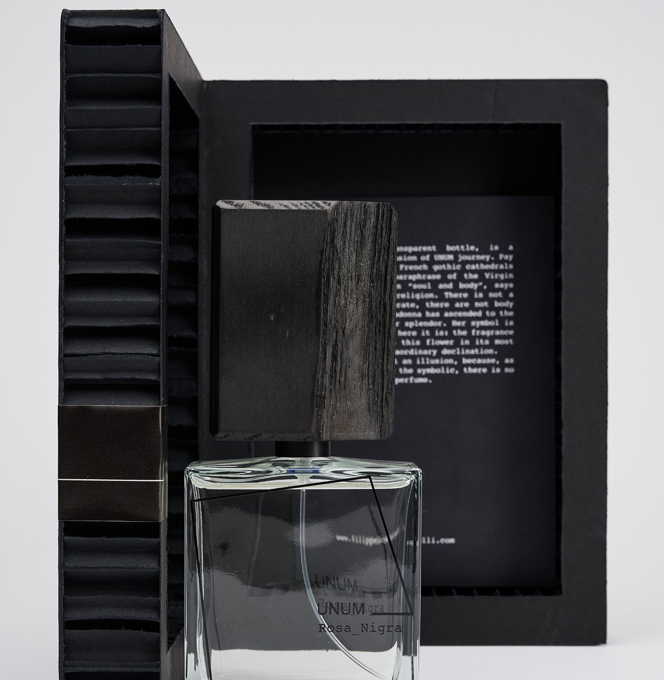 Rosa nigra by Filippo Sorcinelli