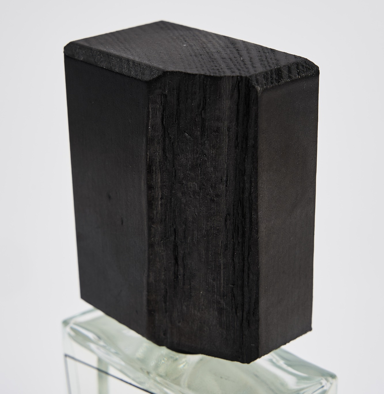 Rosa nigra by Filippo Sorcinelli